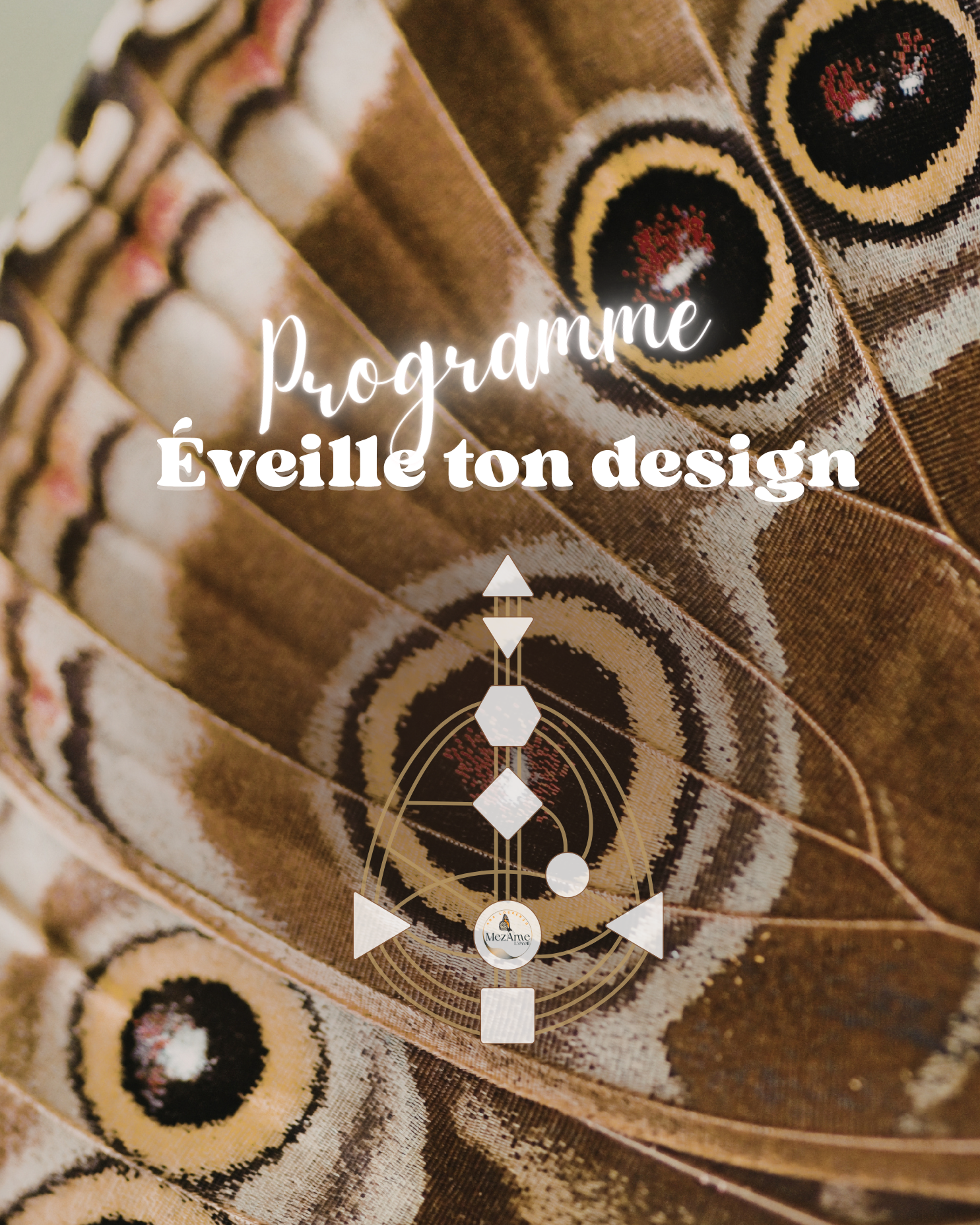Éveille ton Design — visuel du programme
